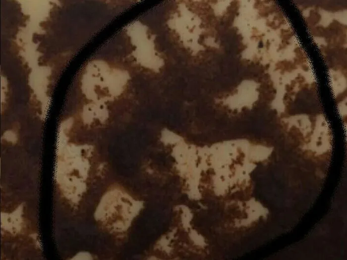 Запись на прием к гадалке в Урус-Мартане